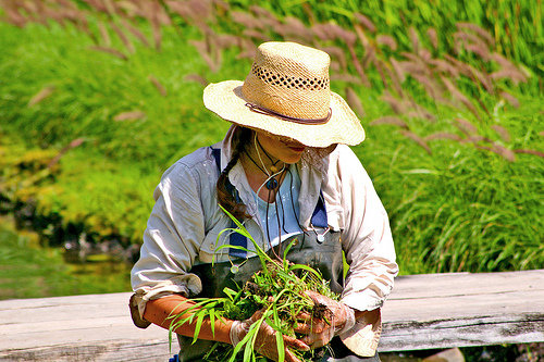 Landscaper