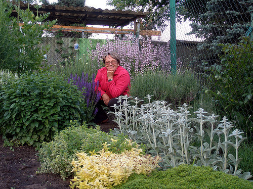 Gardening