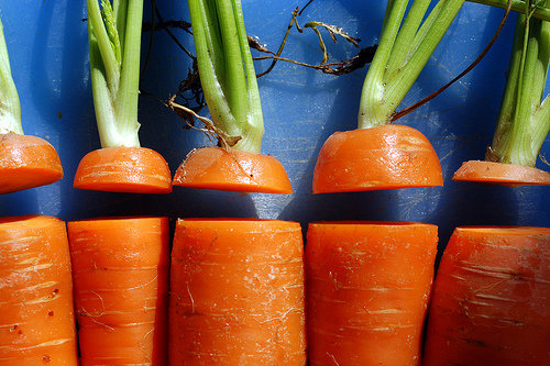 Carrots and Celery Dipped in Low-fat Ranch Dressing