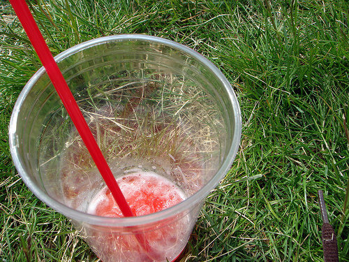 Watermelon Smoothie