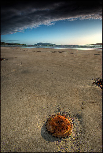 Luskentyre, Isle of Harris