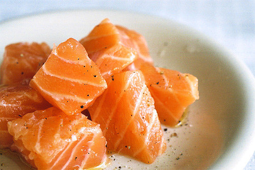 Salmon