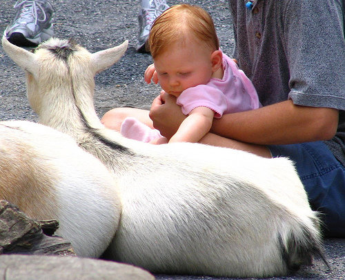 Visit a Petting Zoo