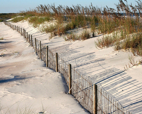 Anastasia State Park in St. Augustine