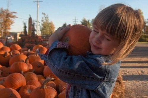 Use Pumpkins for Something Other than Carving