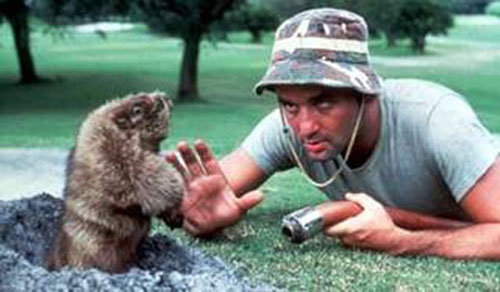 Caddyshack