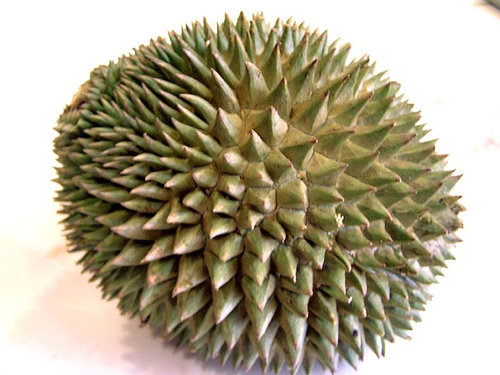 Durian