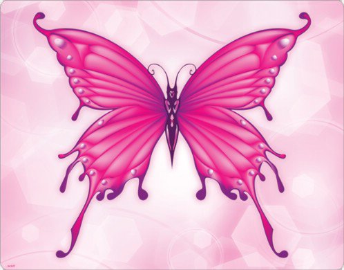 Pink Butterfly