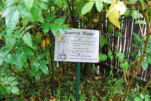 Set up Rain Barrels