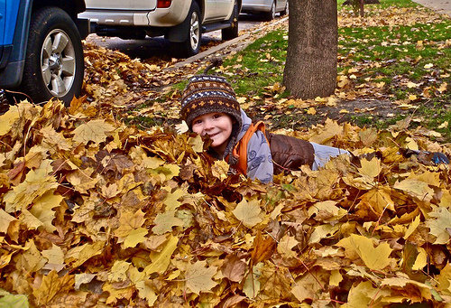 Piles of Leaves