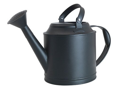 Watering Can