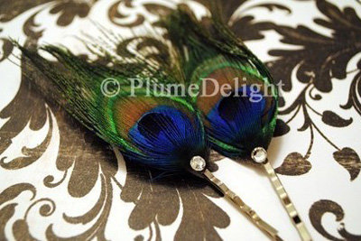 Peacock Feathers