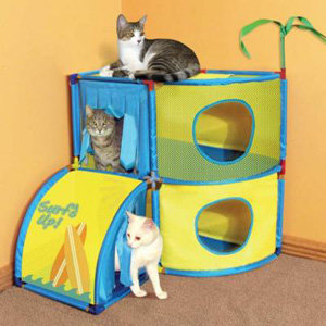 Cat Playground