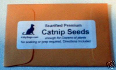 Grow Your Own Catnip