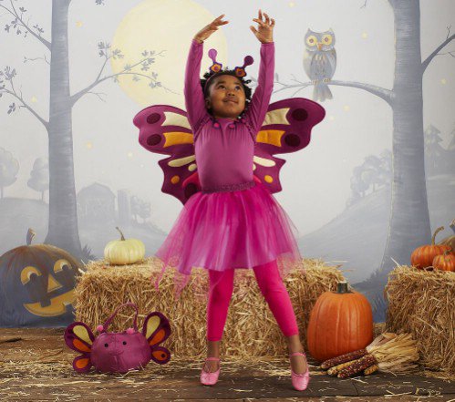 Pottery Barn Kids Butterfly Tutu Costume