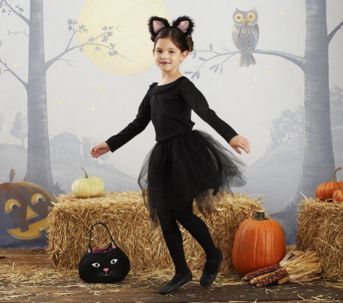 Pottery Barn Kids Cat Tutu Costume