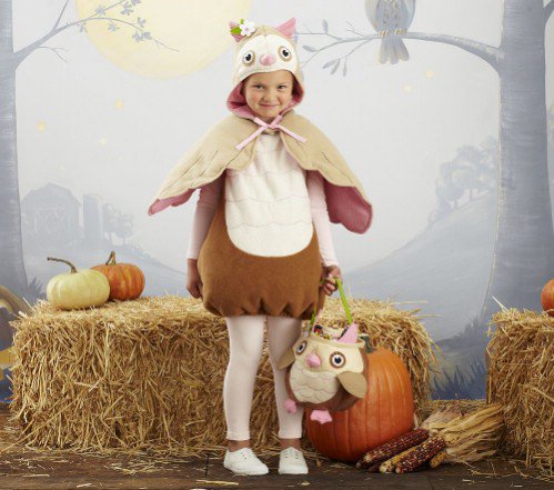 Pottery Barn Kids Owl Costume