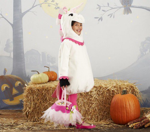 Pottery Barn Kids Unicorn Costume