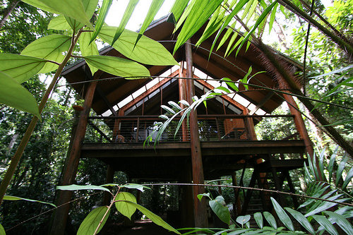 Fur N' Feathers Rainforest Tree Houses in Australia