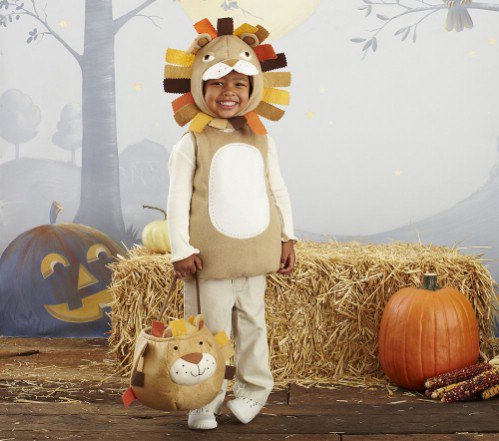 Pottery Barn Kids Lion Costume