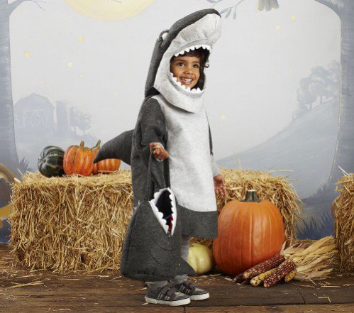 Pottery Barn Kids Shark Costume