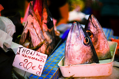 Some Seafood