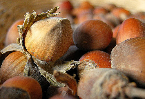 Hazelnuts