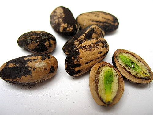 Pine Nuts