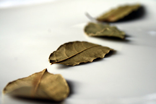 Bay Leaves