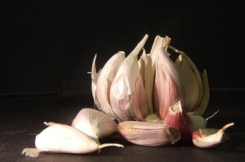 Garlic