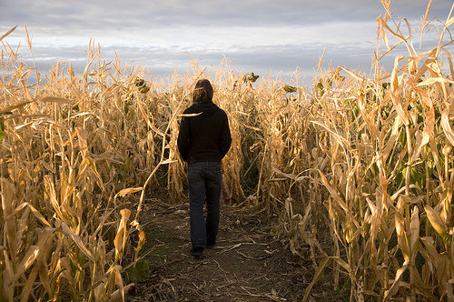 Corn Mazes