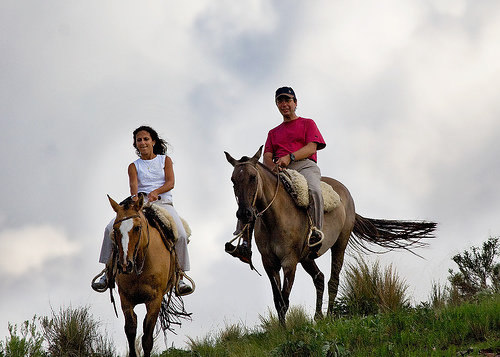 Horseback Riding