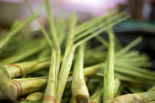 Lemon Grass