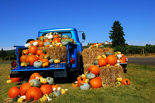 Cooking Seasonal Foods