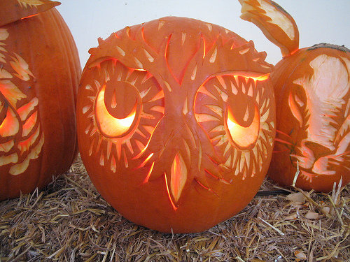 Owl Pumpkin