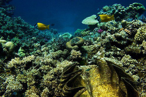 Great Barrier Reef