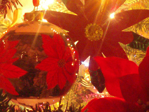 Poinsettia Tree