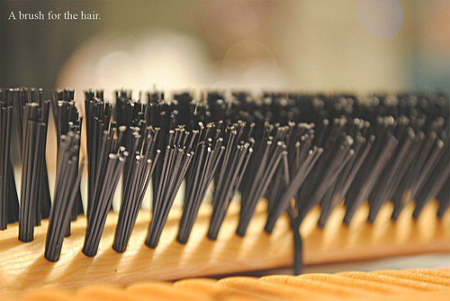 Use Combs, Not Brushes