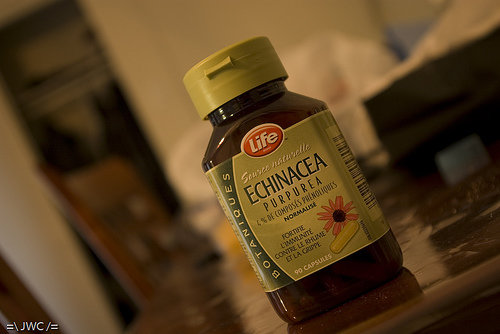 Echinacea