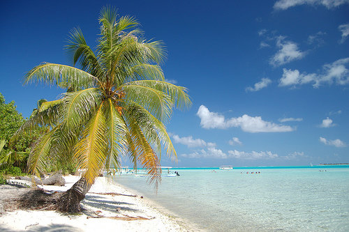 The Bora Bora Island