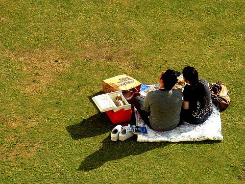 Picnic