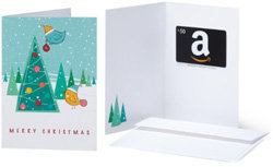 Amazon.com Gift Card