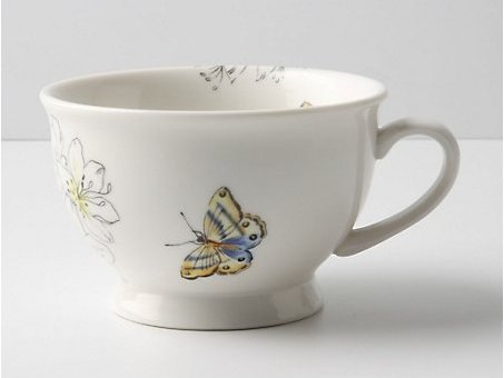 Butterfly Study Mug