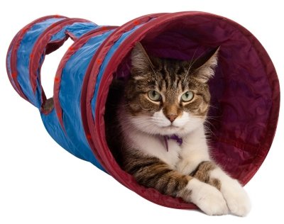 Petlinks System Twinkle Chute with Lights Cat Toy