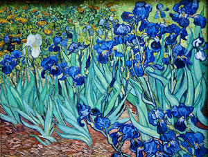 Irises – Vincent Van Gogh