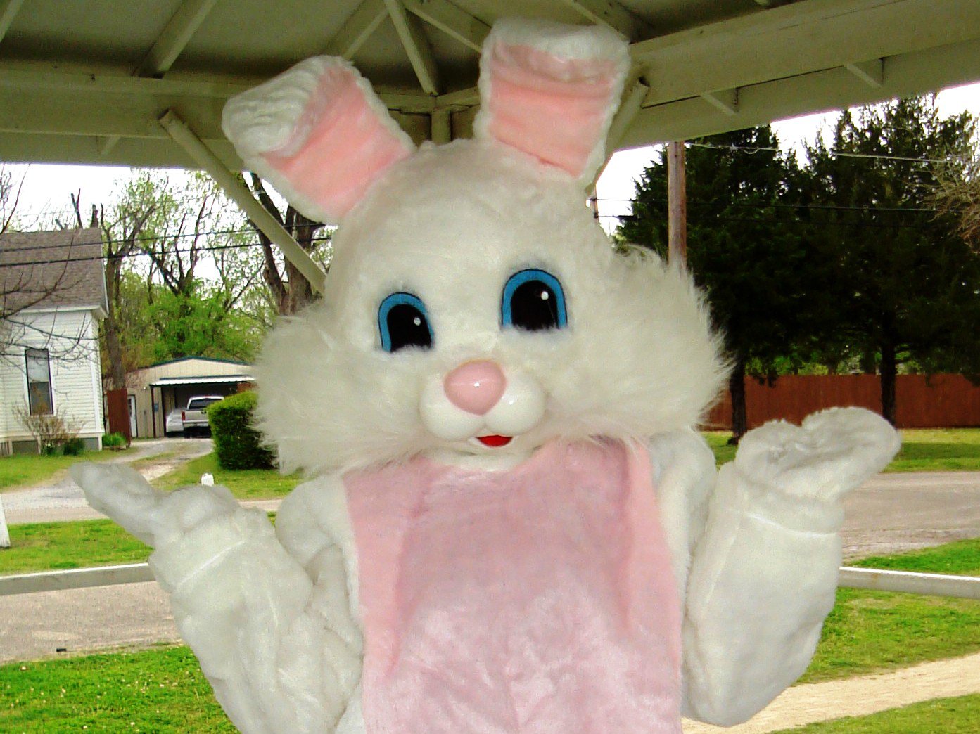 The Easter Bunny