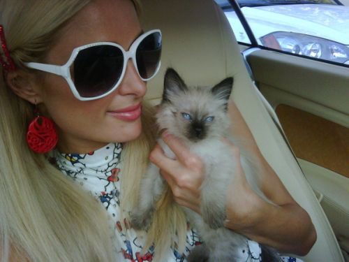 Princess Annabell: Paris Hilton