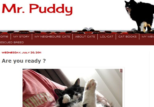 Mr. Puddy