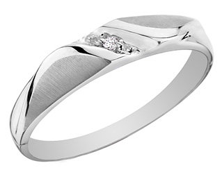 Ladies Diamond Wedding Band