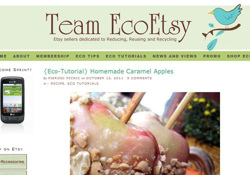 Team EcoEtsy